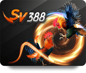 How to Choose the Best Casino Online for You